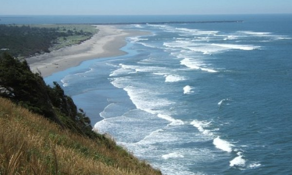 long beach washington surfing