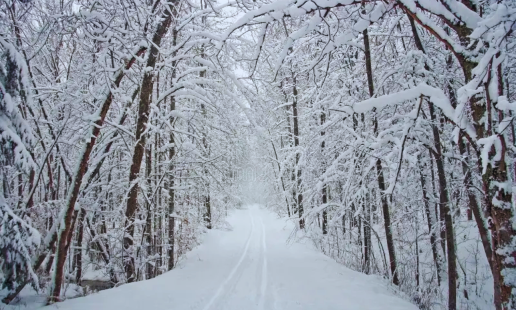 feather snow road