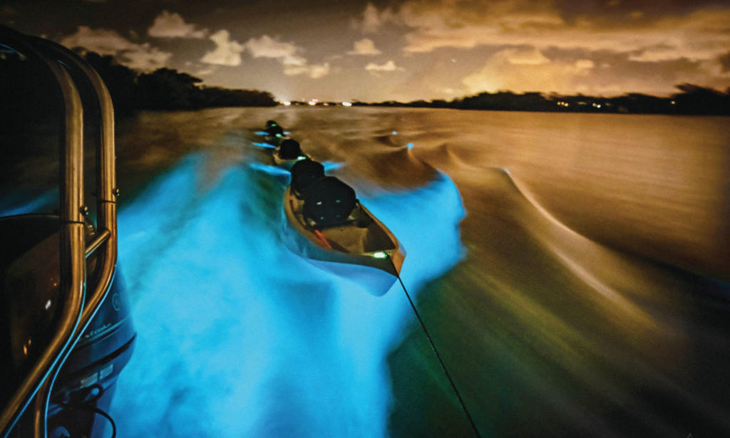 Boating and Water Sports in the Indian River Lagoon